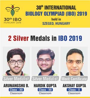 IBO Result 2019